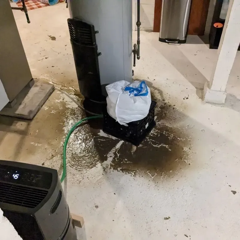 Sewage Backup Cleanup Service in Alva, OK